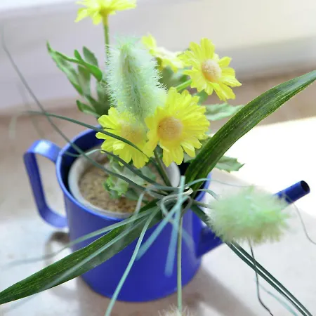 Stylish In With Garden דירה Stormbruch