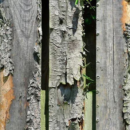Stylish In With Garden * Stormbruch