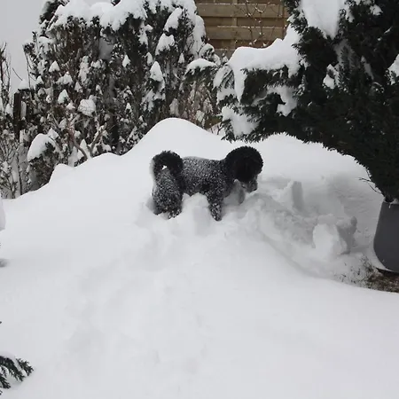 Stylish In With Garden 公寓 Stormbruch