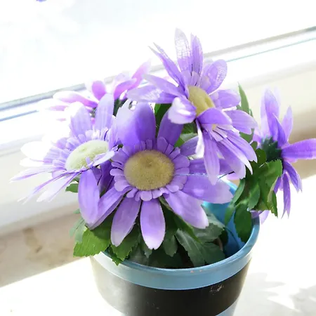 公寓 Stylish In With Garden