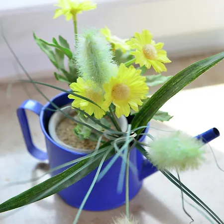 公寓 Stylish In With Garden *