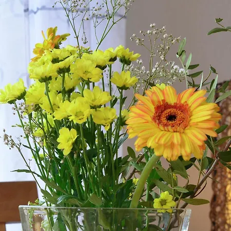 Stylish In With Garden *