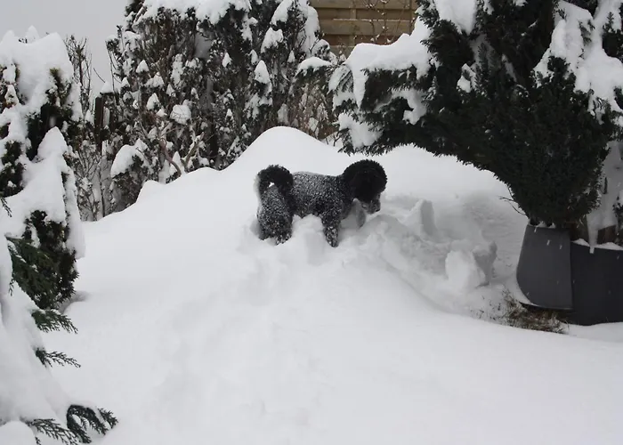 Stylish In With Garden شقة Stormbruch