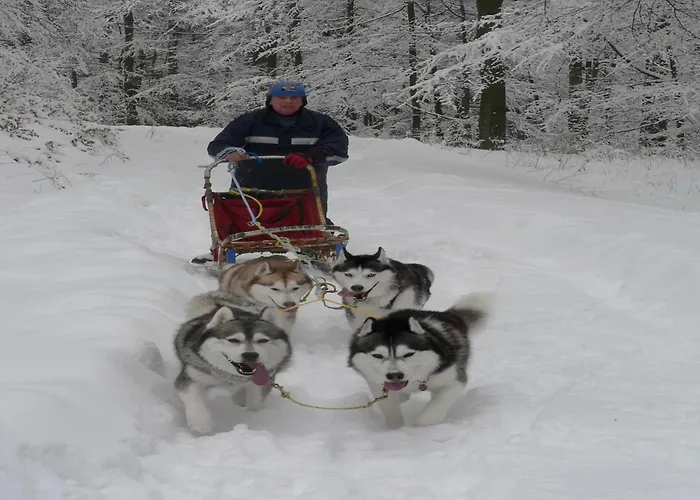 Appartement Stylish In With Garden Stormbruch