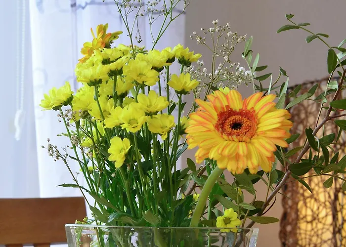 Stylish In With Garden *